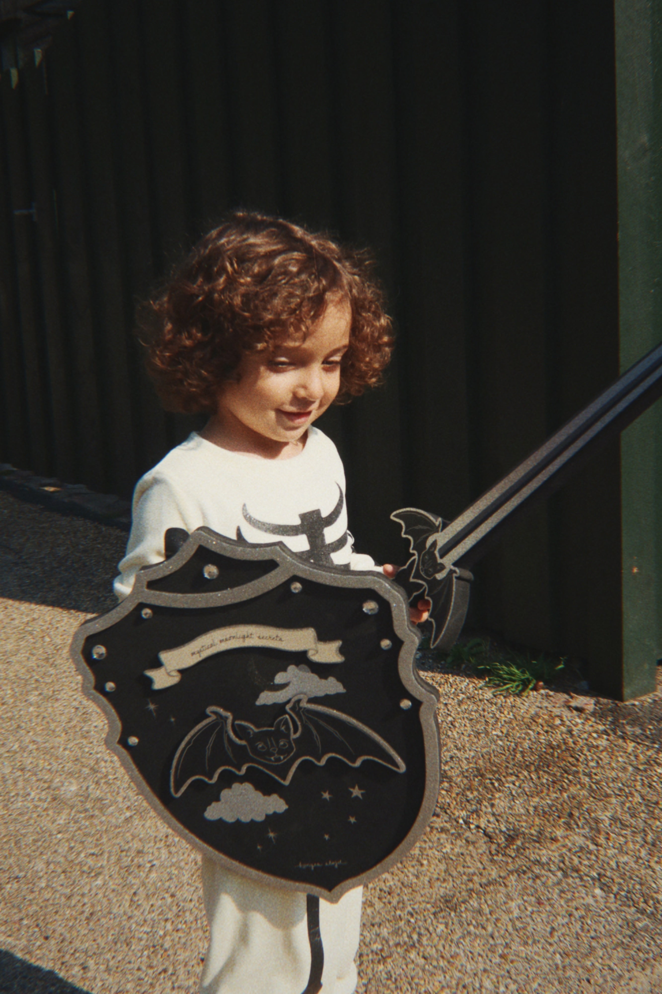 Shield and Sword - Black (Preorder)