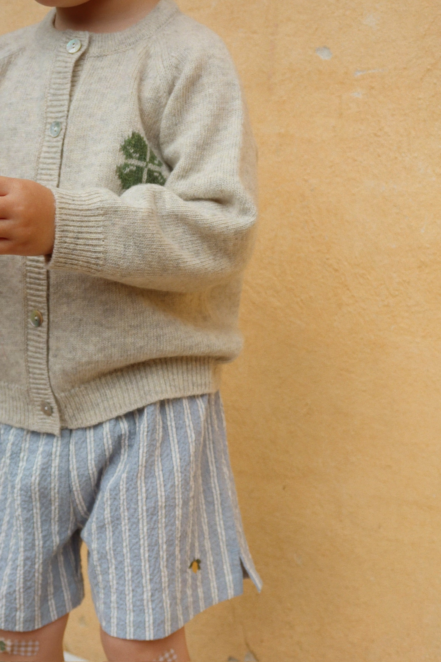 Elliot Shorts - Trio Bleu Stripe