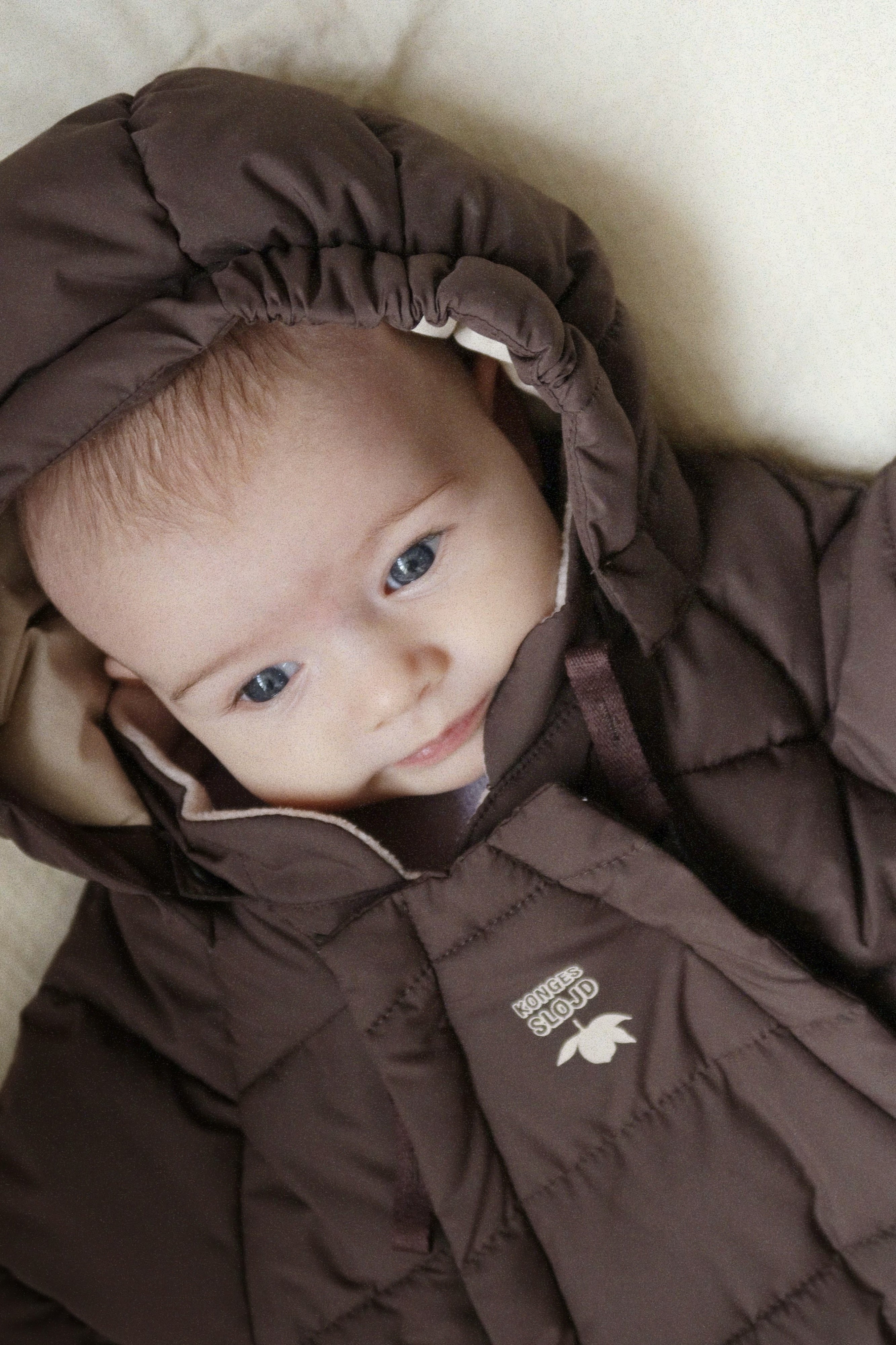 Alpi Baby Suit GRS - Chocolate Brown