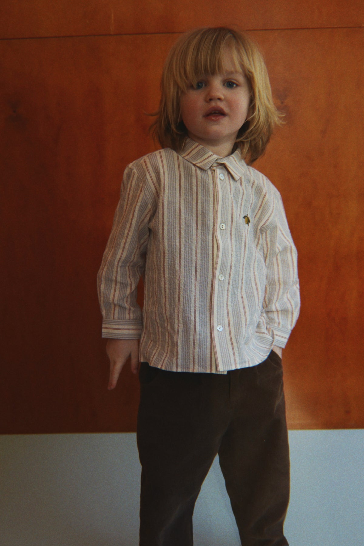 Elliot Long Sleeve Shirt - Tocororo Stripe