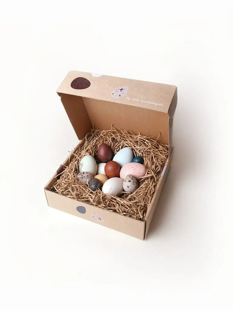 A DOZEN BIRD EGGS IN A BOX