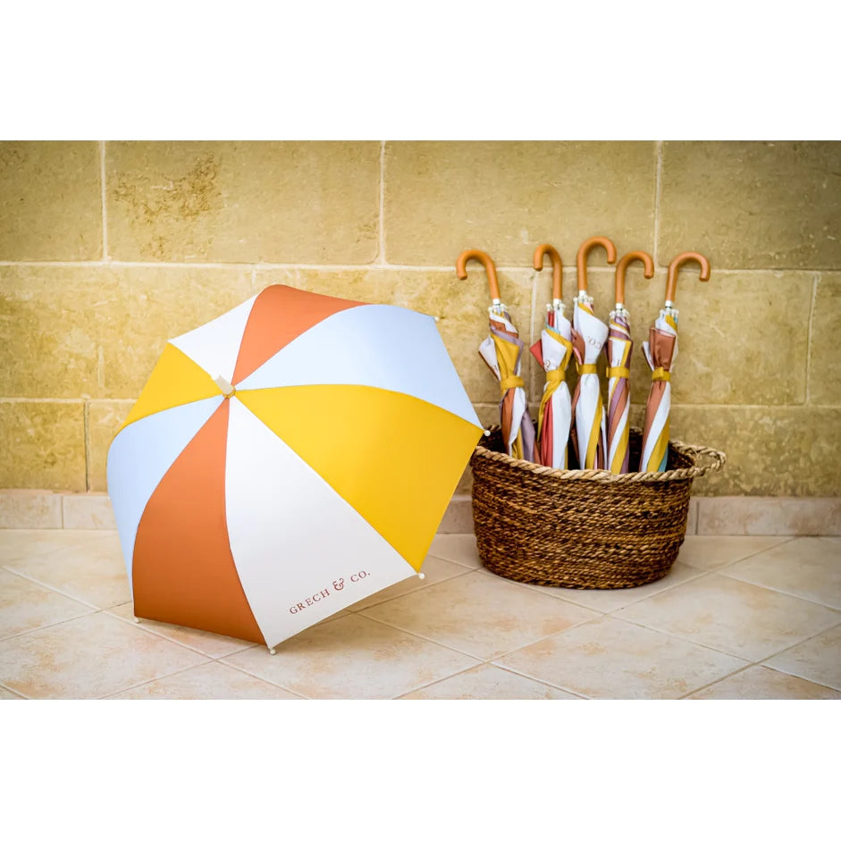 Sustainable Rain Umbrella