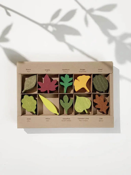 WOODLAND LEAVES