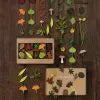 WOODLAND LEAVES