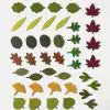 WOODLAND LEAVES